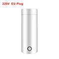 BrewMini™ Portable Travel Electric Kettle — 304 Stainless Steel Fast Boil
